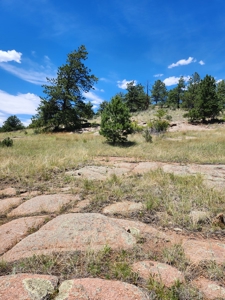 Colorado Land with Mountain Views - image 18