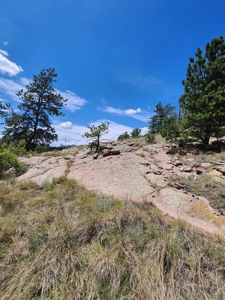Colorado Land with Mountain Views - image 16