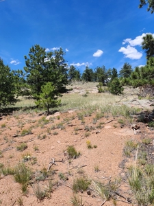 Colorado Land with Mountain Views - image 19