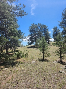 Colorado Land with Mountain Views - image 13