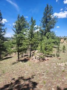 Colorado Land with Mountain Views - image 9