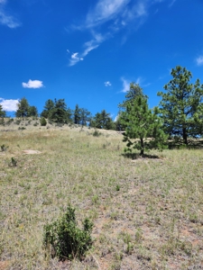 Colorado Land with Mountain Views - image 6