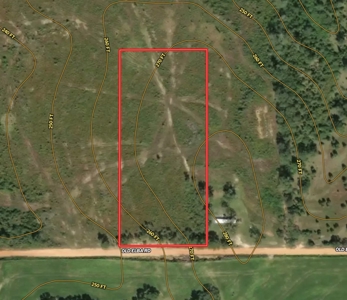 Land For Sale Coffee Springs Alabama- Geneva County - image 14