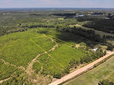 Land For Sale Coffee Springs Alabama- Geneva County - image 4
