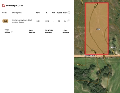 Land For Sale Coffee Springs Alabama- Geneva County - image 15