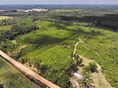 Land For Sale Coffee Springs Alabama- Geneva County - image 1