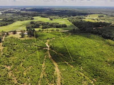 Land For Sale Coffee Springs Alabama- Geneva County - image 10