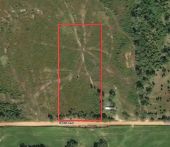 Land For Sale Coffee Springs Alabama- Geneva County - image 3