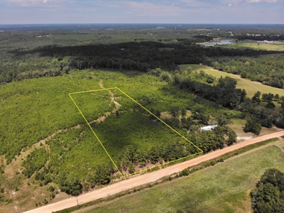 Land For Sale Coffee Springs Alabama- Geneva County - image 12