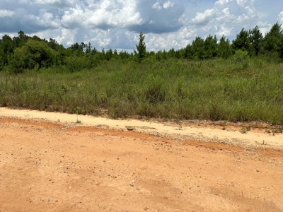 Land For Sale Coffee Springs Alabama- Geneva County - image 18