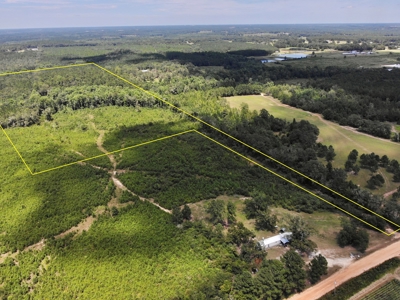 Land For Sale Coffee Springs Alabama- Geneva County - image 19