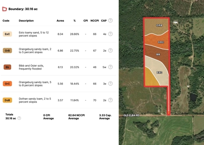 Land For Sale Coffee Springs Alabama- Geneva County - image 12