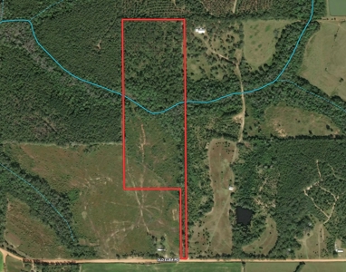 Land For Sale Coffee Springs Alabama- Geneva County - image 10