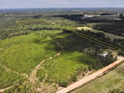 Land For Sale Coffee Springs Alabama- Geneva County - image 6