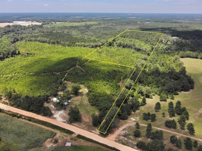 Land For Sale Coffee Springs Alabama- Geneva County - image 1