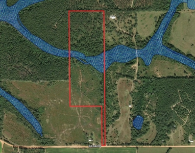 Land For Sale Coffee Springs Alabama- Geneva County - image 11