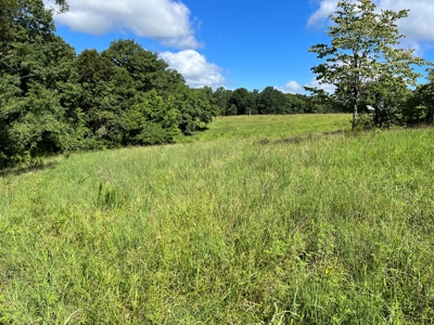 Cattle Farm For Sale in Arkansas Ozarks in Searcy County - image 43