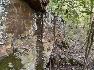 Cattle Farm For Sale in Arkansas Ozarks in Searcy County - image 40