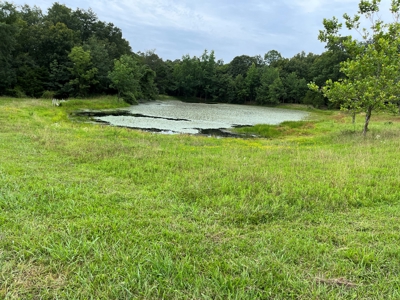 Cattle Farm For Sale in Arkansas Ozarks in Searcy County - image 13