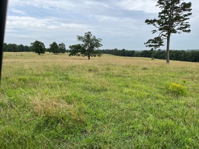 Cattle Farm For Sale in Arkansas Ozarks in Searcy County - image 4