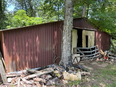 Cattle Farm For Sale in Arkansas Ozarks in Searcy County - image 23