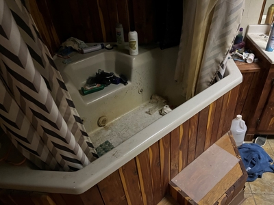 Cattle Farm For Sale in Arkansas Ozarks in Searcy County - image 25