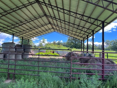 Cattle Farm For Sale in Arkansas Ozarks in Searcy County - image 45