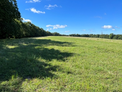 Cattle Farm For Sale in Arkansas Ozarks in Searcy County - image 35