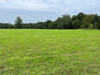 Cattle Farm For Sale in Arkansas Ozarks in Searcy County - image 14