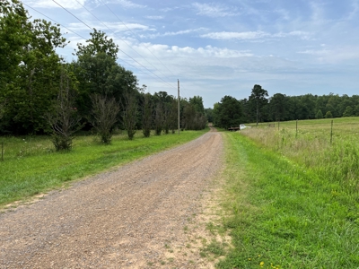 Cattle Farm For Sale in Arkansas Ozarks in Searcy County - image 3