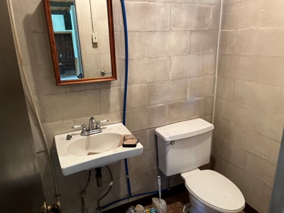 Cattle Farm For Sale in Arkansas Ozarks in Searcy County - image 31