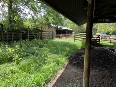 Cattle Farm For Sale in Arkansas Ozarks in Searcy County - image 17