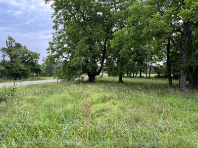 Cattle Farm For Sale in Arkansas Ozarks in Searcy County - image 2
