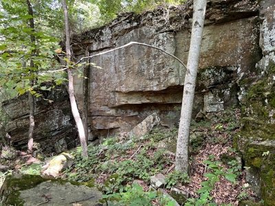 Cattle Farm For Sale in Arkansas Ozarks in Searcy County - image 41