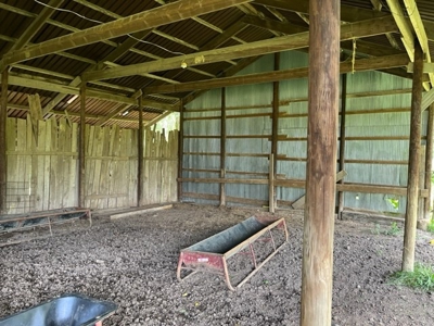 Cattle Farm For Sale in Arkansas Ozarks in Searcy County - image 19