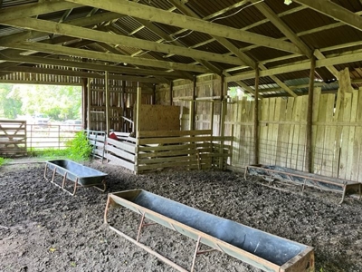 Cattle Farm For Sale in Arkansas Ozarks in Searcy County - image 16