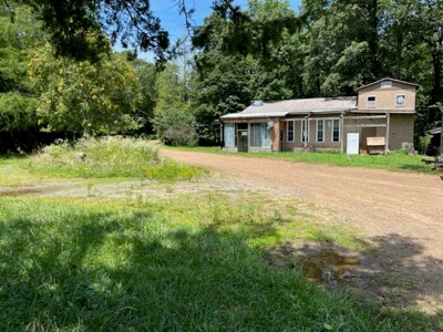 Cattle Farm For Sale in Arkansas Ozarks in Searcy County - image 22