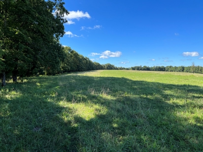 Cattle Farm For Sale in Arkansas Ozarks in Searcy County - image 36