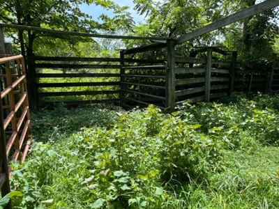 Cattle Farm For Sale in Arkansas Ozarks in Searcy County - image 18