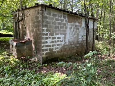 Cattle Farm For Sale in Arkansas Ozarks in Searcy County - image 24