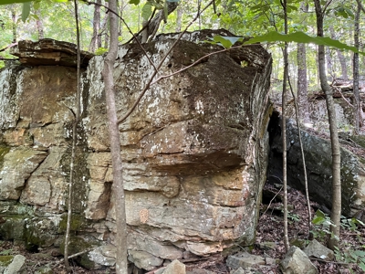 Cattle Farm For Sale in Arkansas Ozarks in Searcy County - image 38