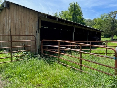 Cattle Farm For Sale in Arkansas Ozarks in Searcy County - image 20