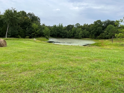 Cattle Farm For Sale in Arkansas Ozarks in Searcy County - image 15