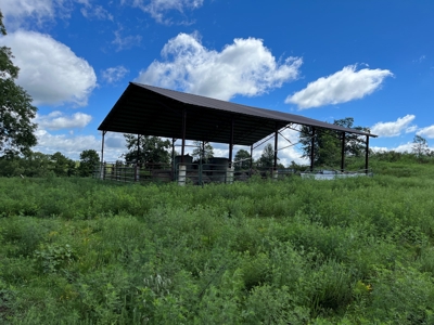 Cattle Farm For Sale in Arkansas Ozarks in Searcy County - image 44
