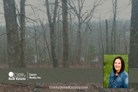 Lake View Land in Sharp County - image 1