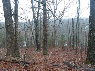 Lake View Land in Sharp County - image 3
