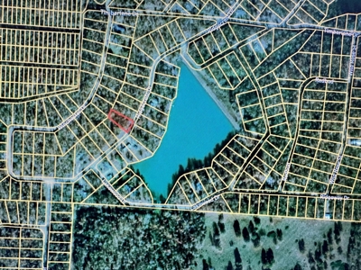 Lake View Land in Sharp County - image 2