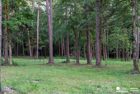 Vacation Rentals for sale in Arkansas. - image 49