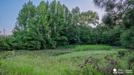 Vacation Rentals for sale in Arkansas. - image 48