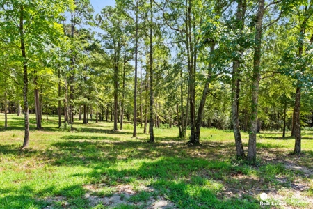 Vacation Rentals for sale in Arkansas. - image 18